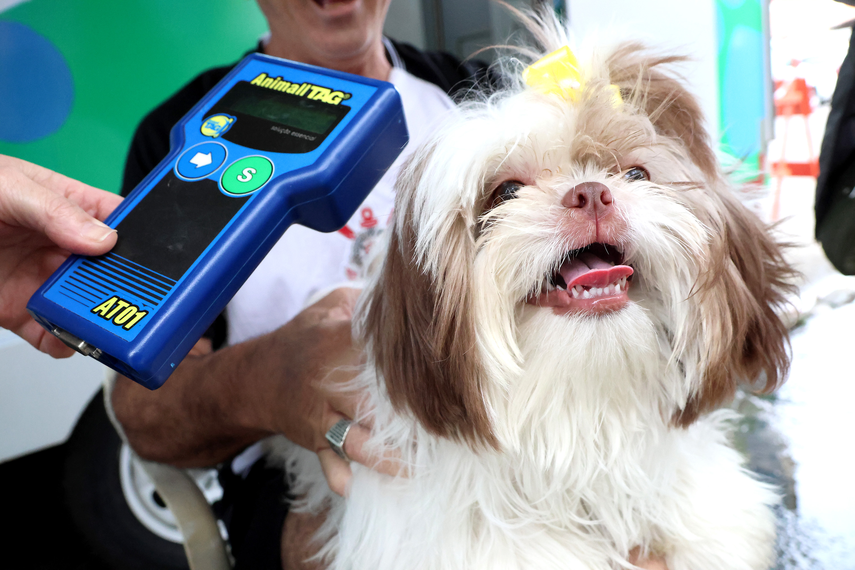 Foto: Richard Aldrin/Arquivo