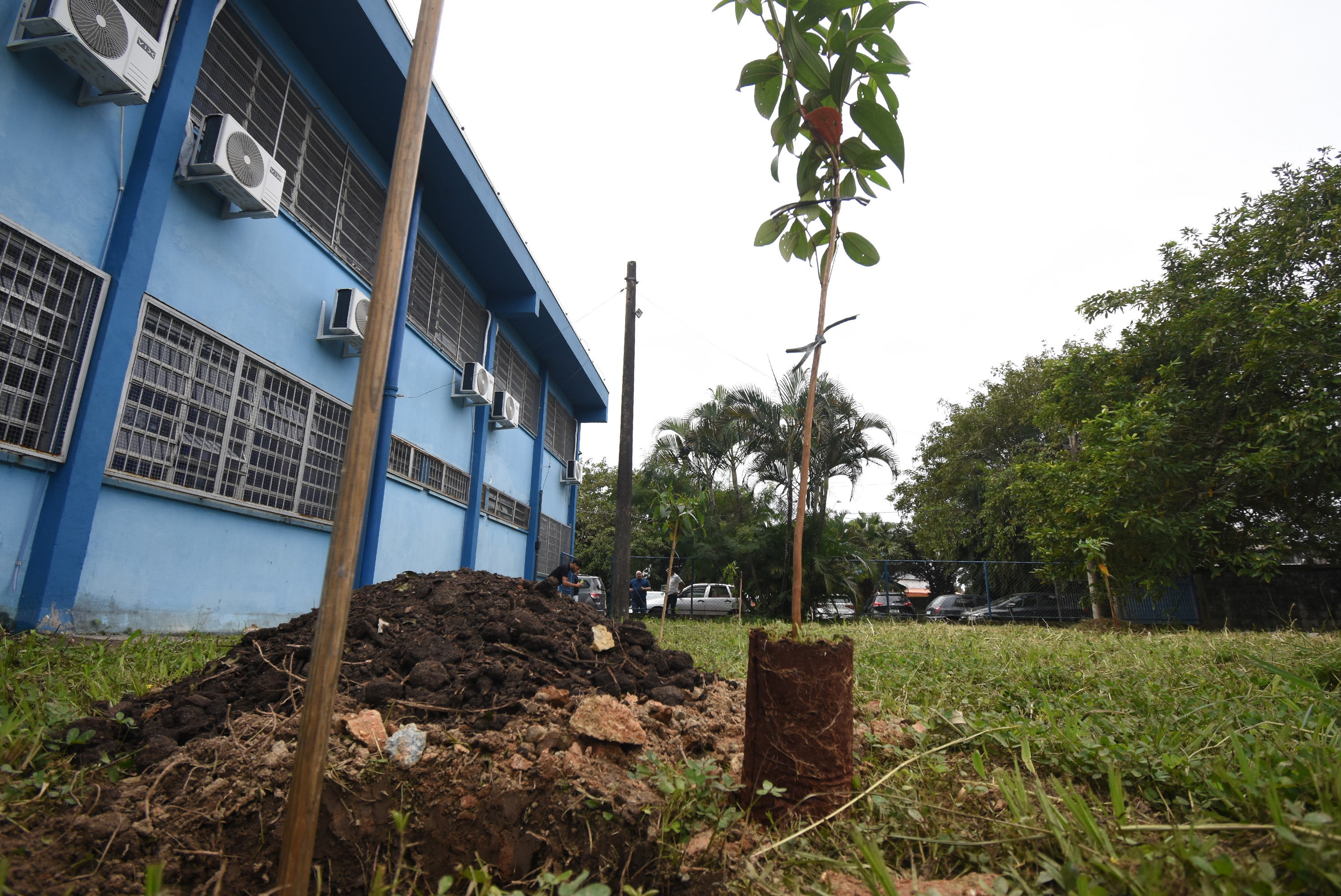 Foto Jairo Marques / Prefeitura de Praia Grande