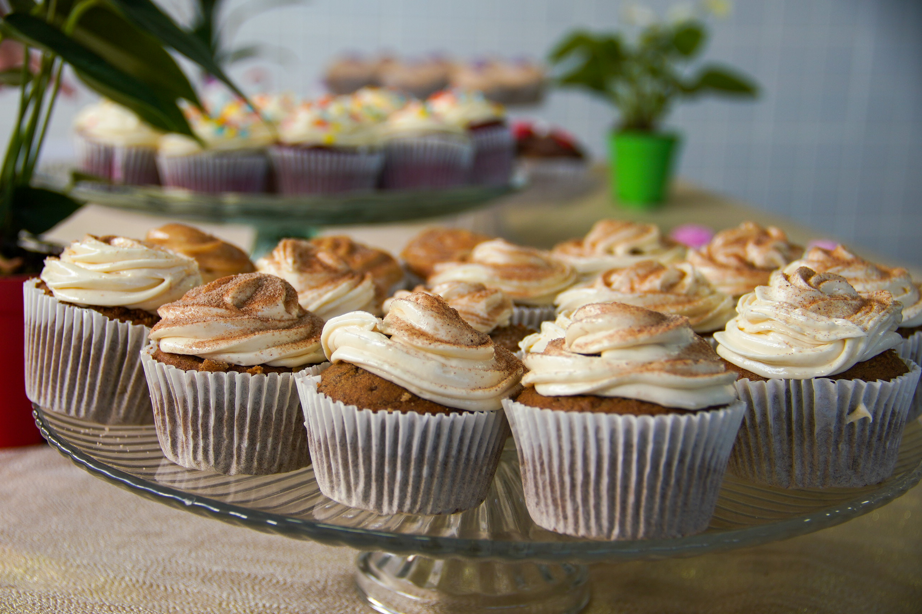 Fotos: Will Urbano / Prefeitura de Praia Grande