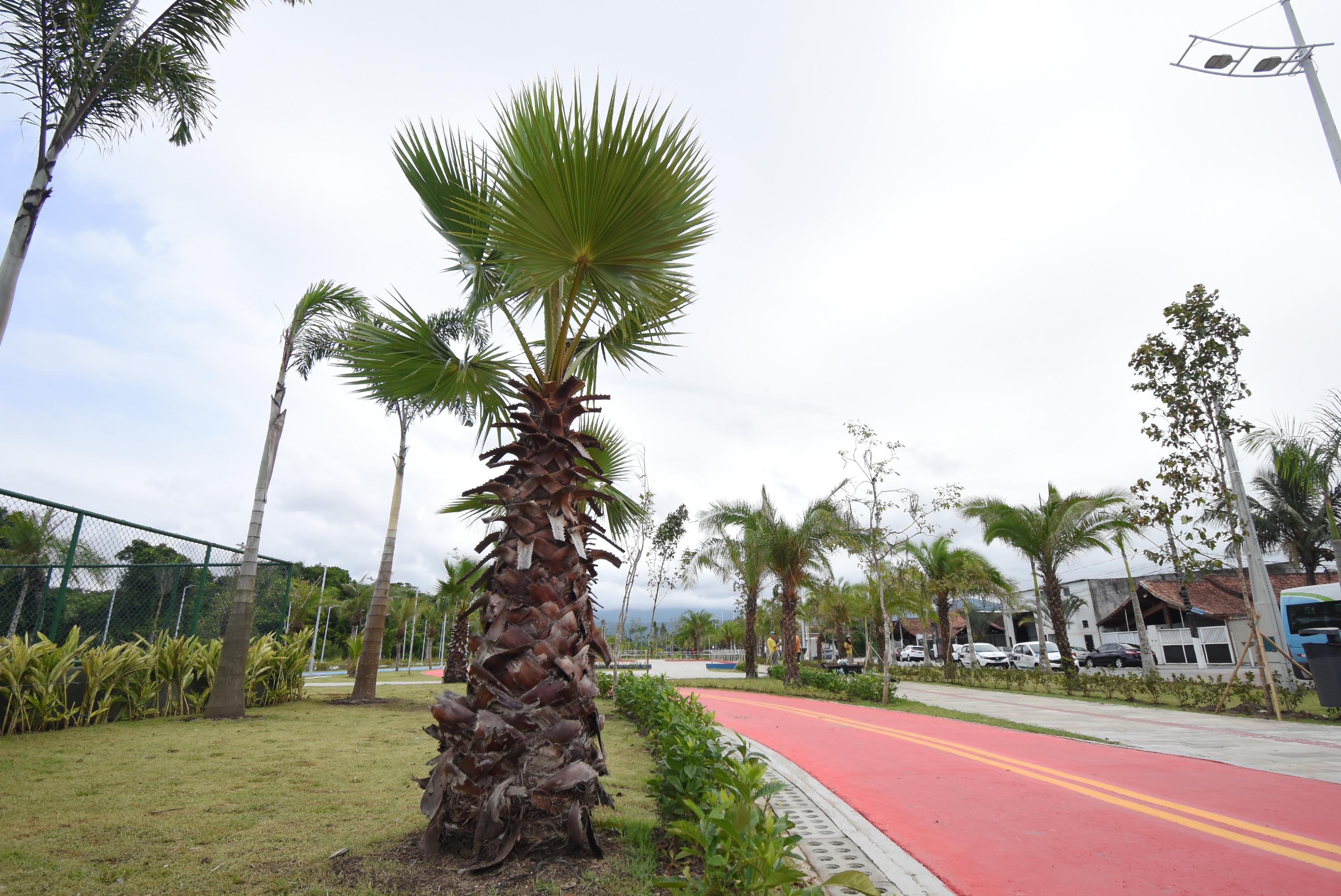 Fotos Jairo Marques/Prefeitura de Praia Grande