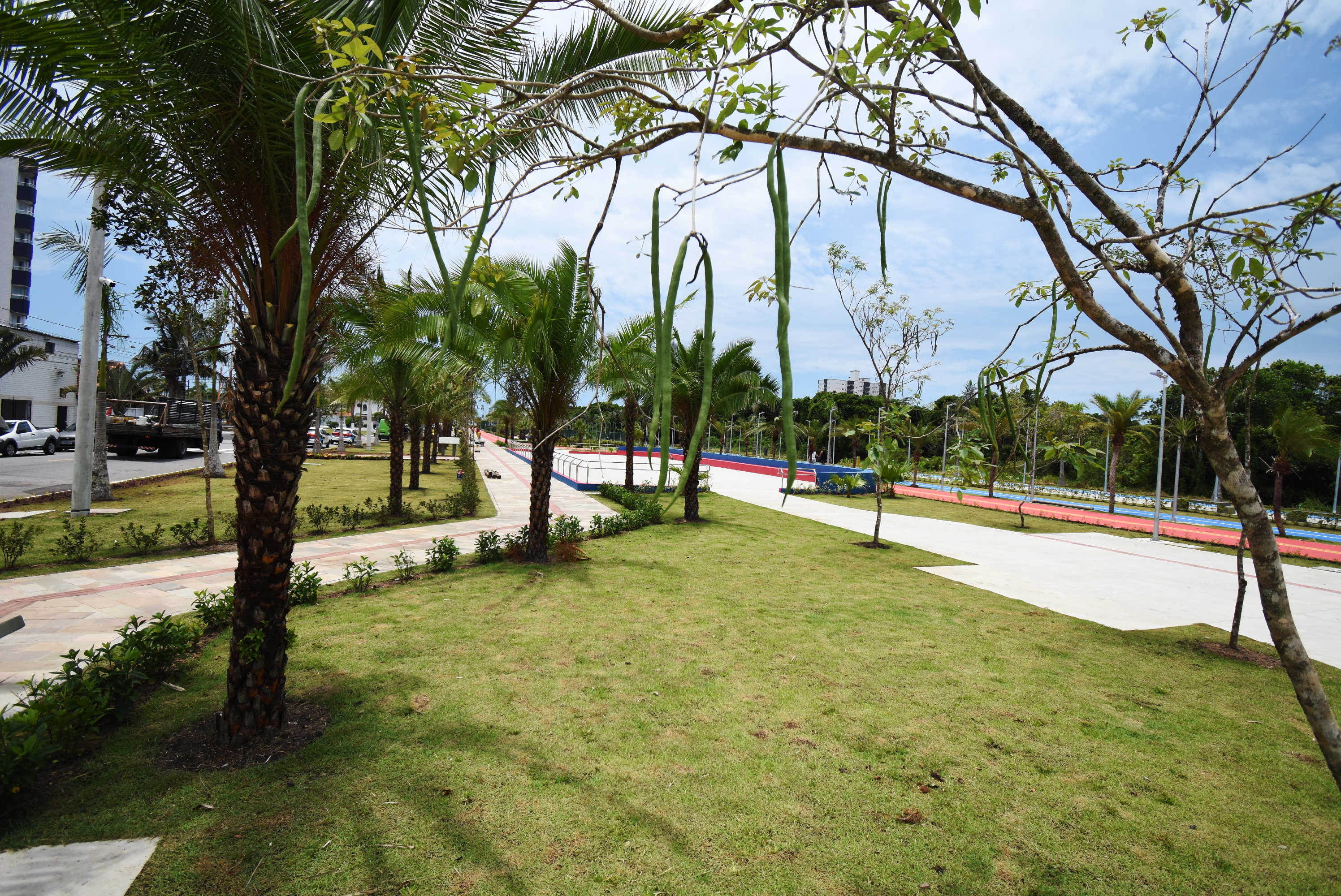 Fotos Jairo Marques/Prefeitura de Praia Grande