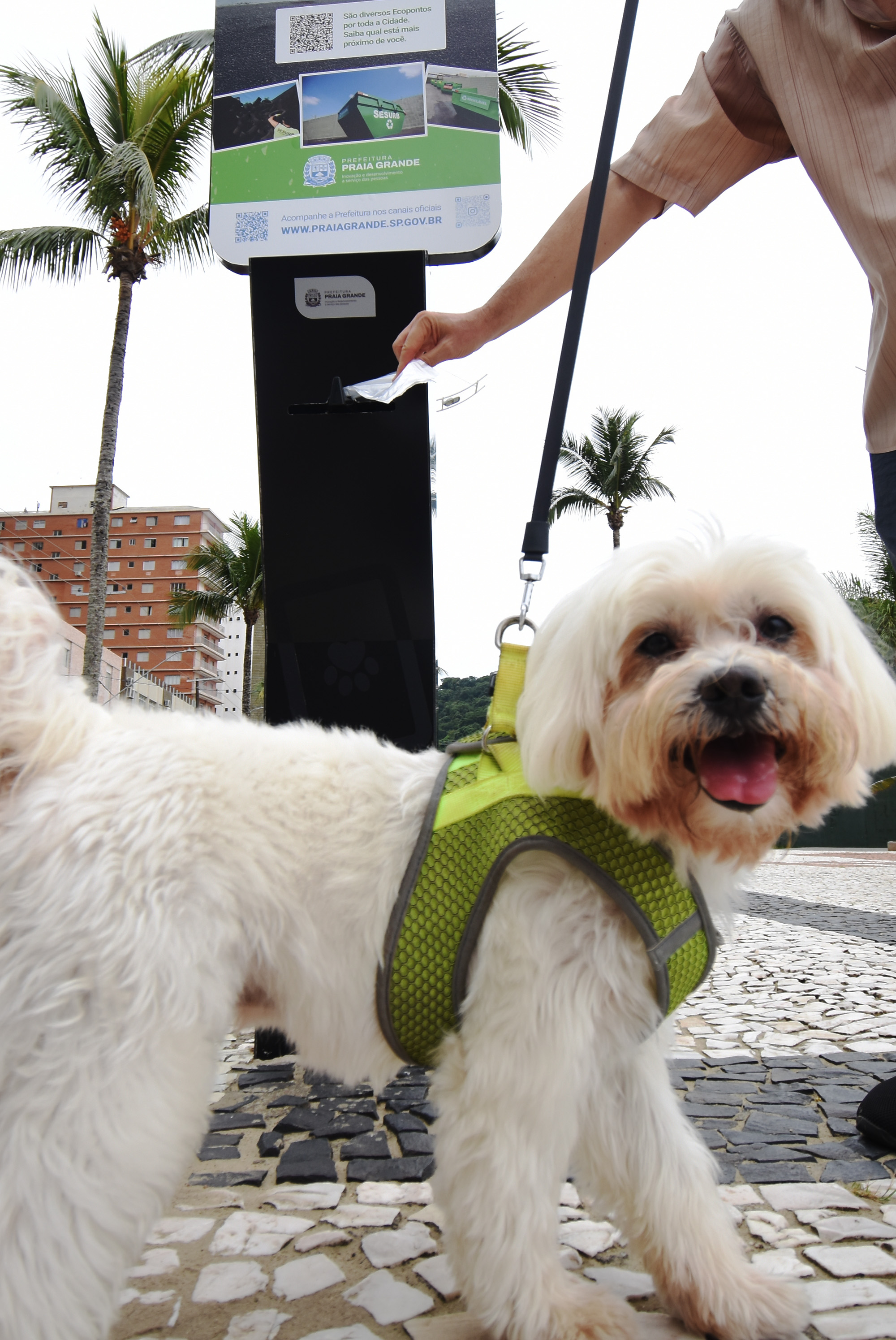 Fotos: Jairo Marques/Prefeitura de Praia Grande