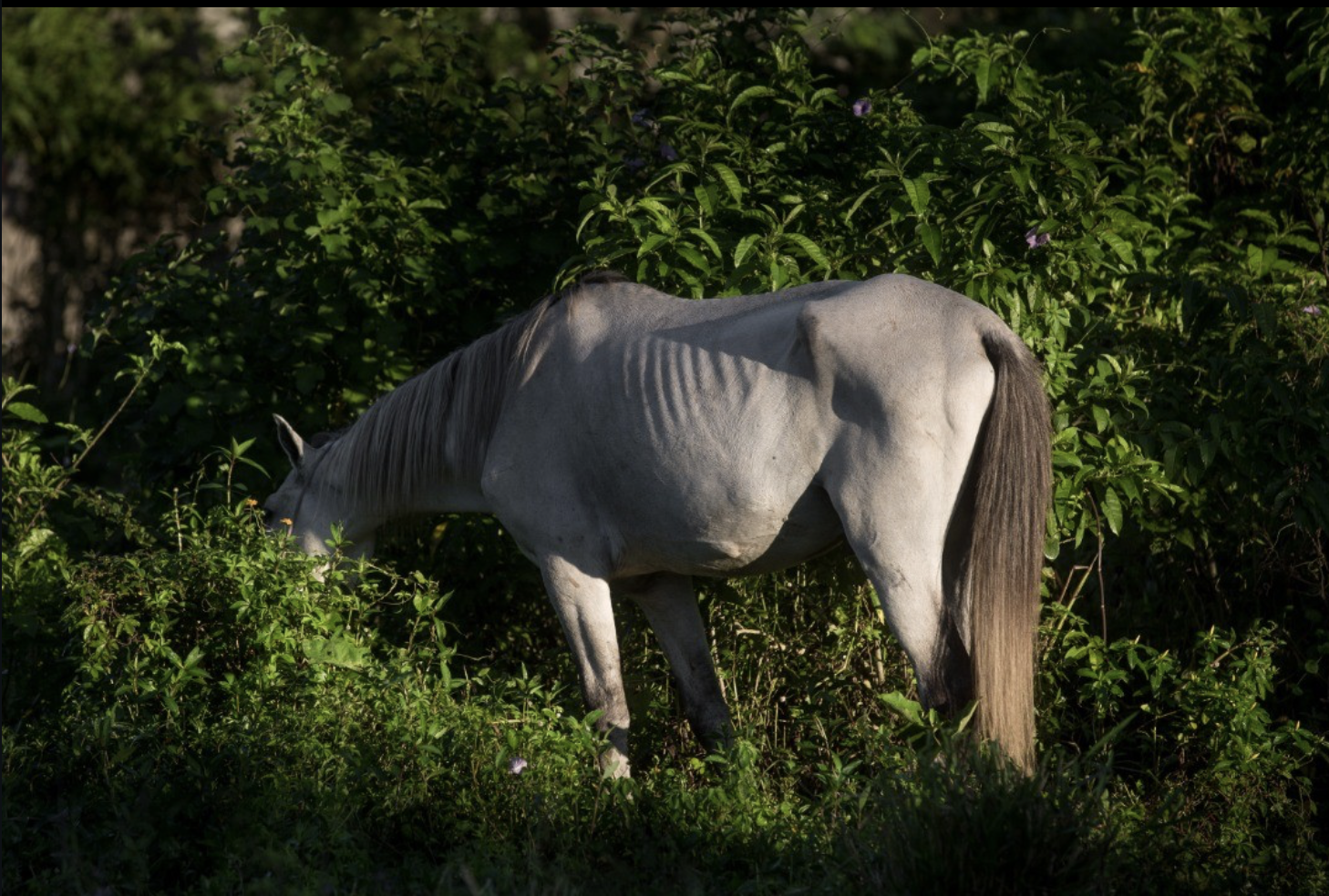 Foto Fred Casagrande/Arquivo