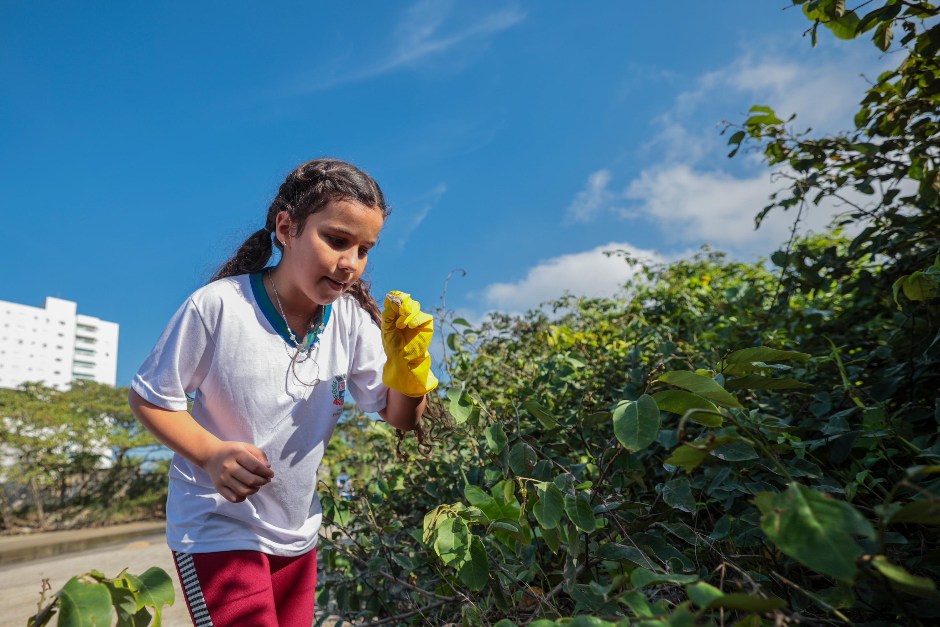 Foto: Fred Casagrande/Arquivo