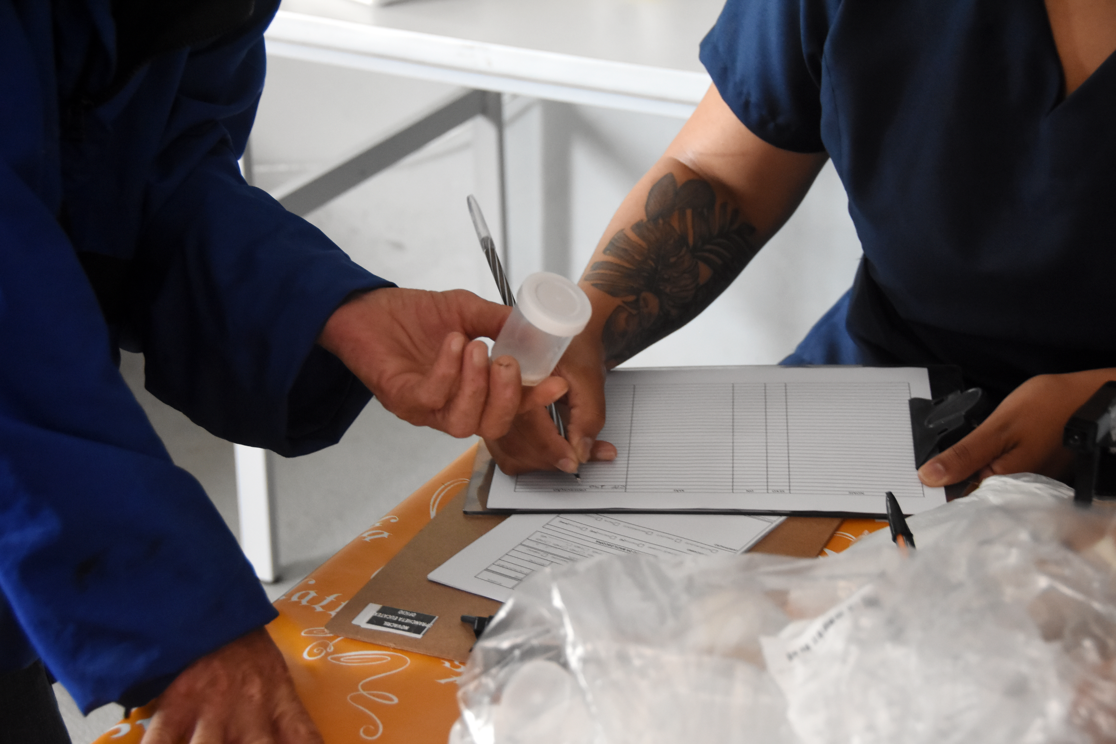 Jairo Marques /Arquivo/Prefeitura de Praia Grande